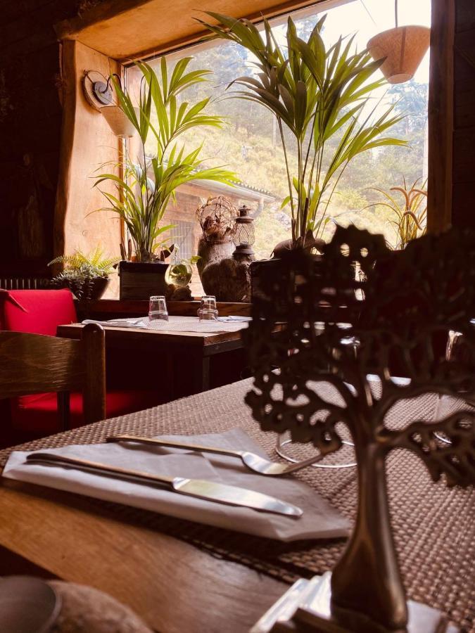 Hotel Green Ecolodge La Colmiane Dış mekan fotoğraf