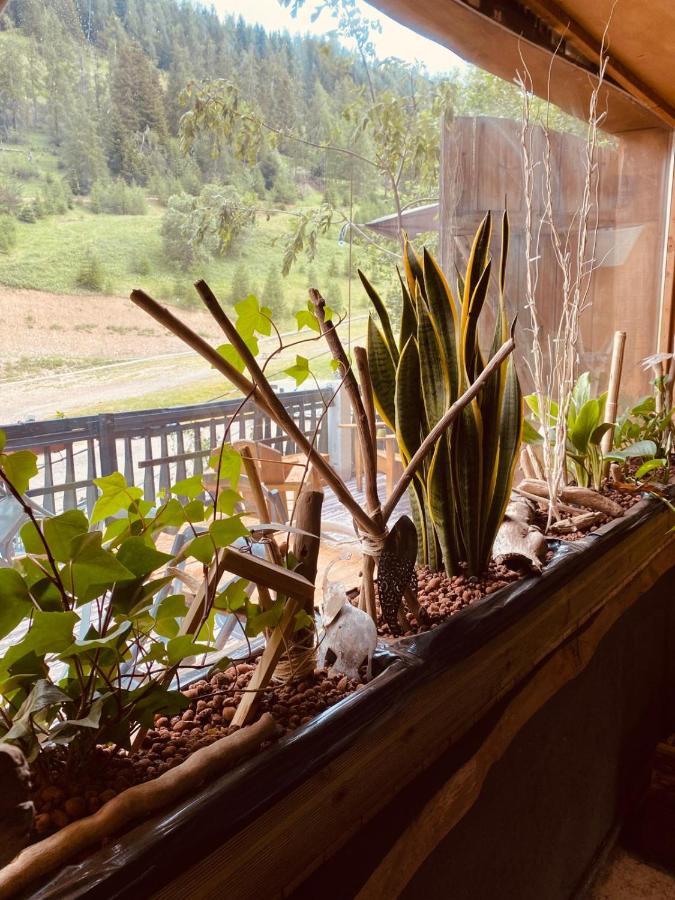 Hotel Green Ecolodge La Colmiane Dış mekan fotoğraf